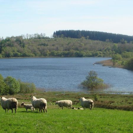 Moybrone Flat Lägenhet Enniskillen Exteriör bild